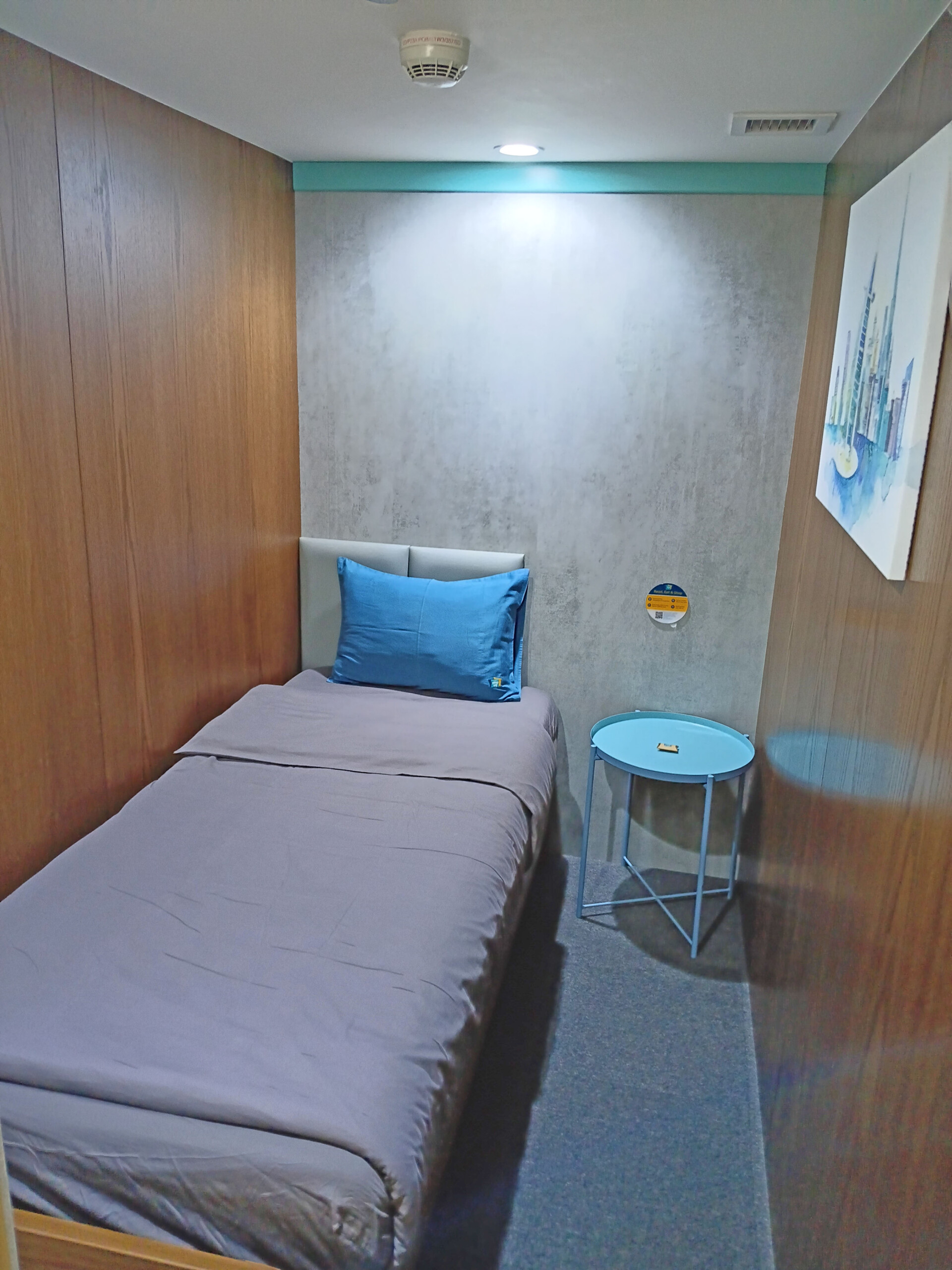 Sleep 'n Fly Single Room