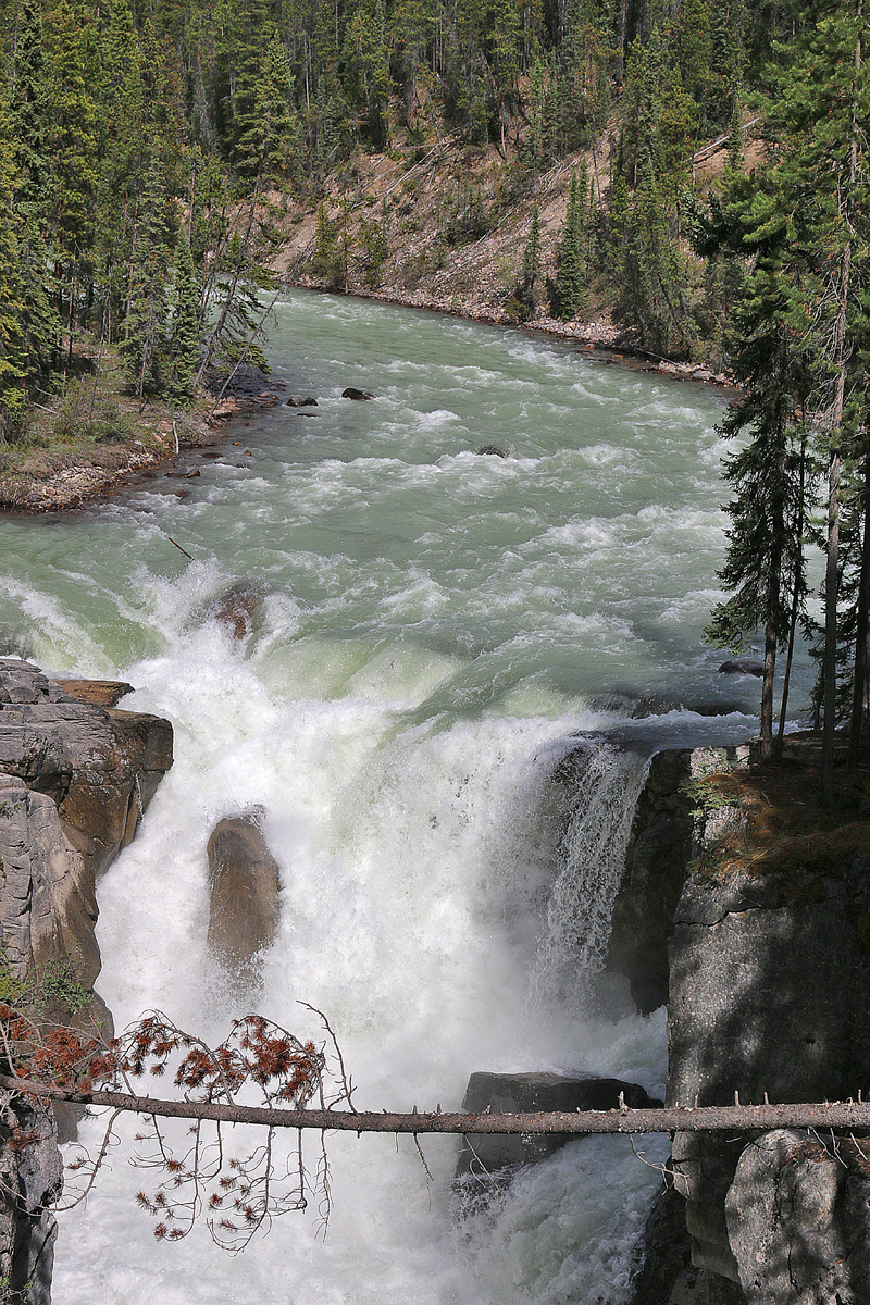 Sunwapta Falls