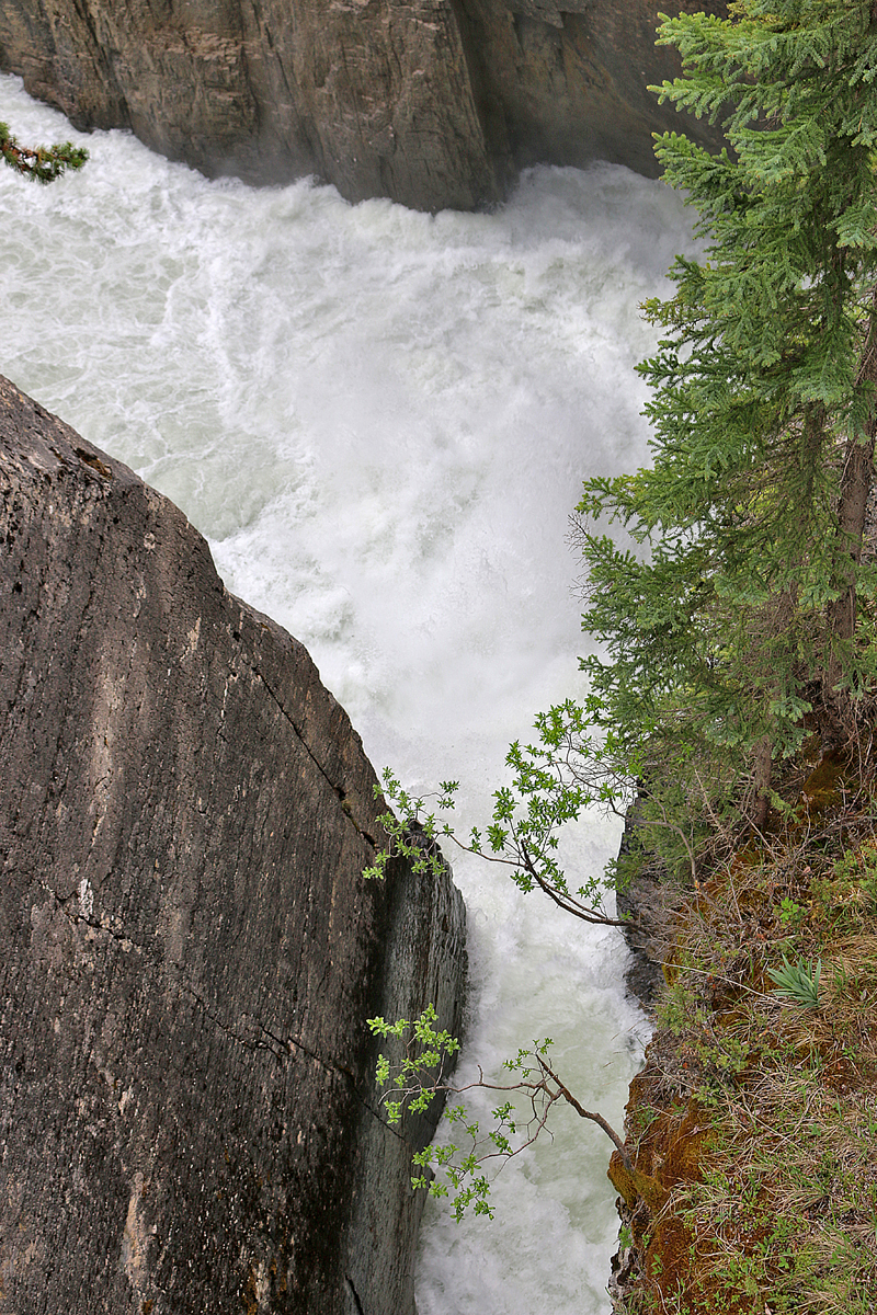 Sunwapta Falls