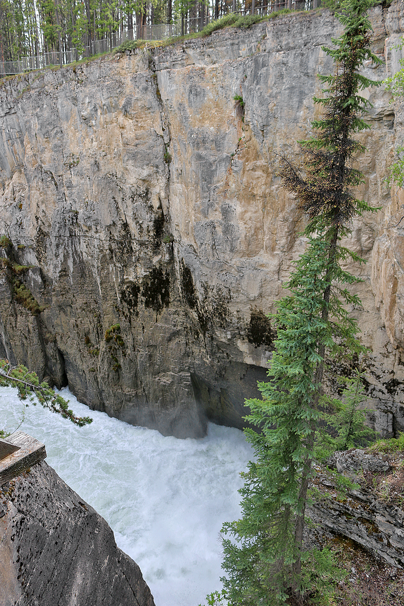 Sunwapta Falls