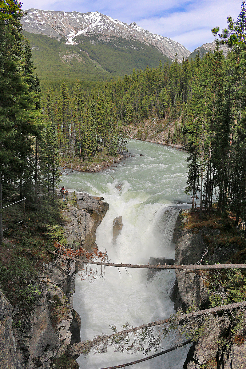 Sunwapta Falls