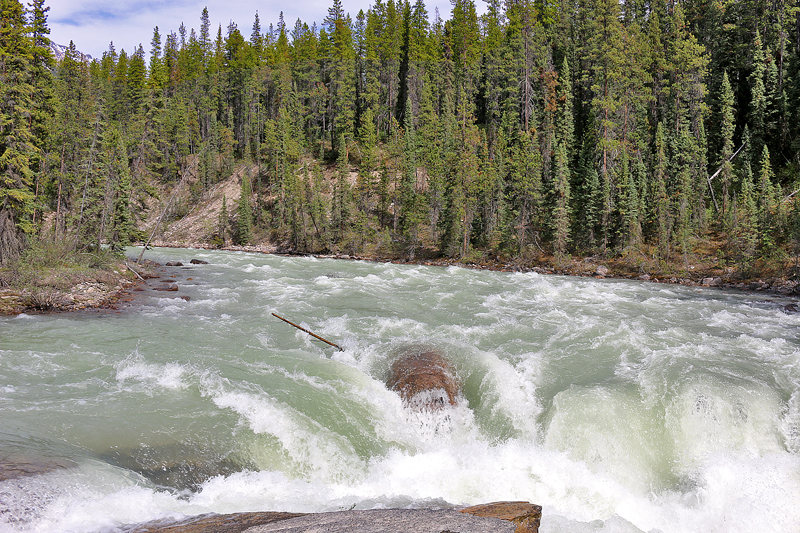 Sunwapta Falls