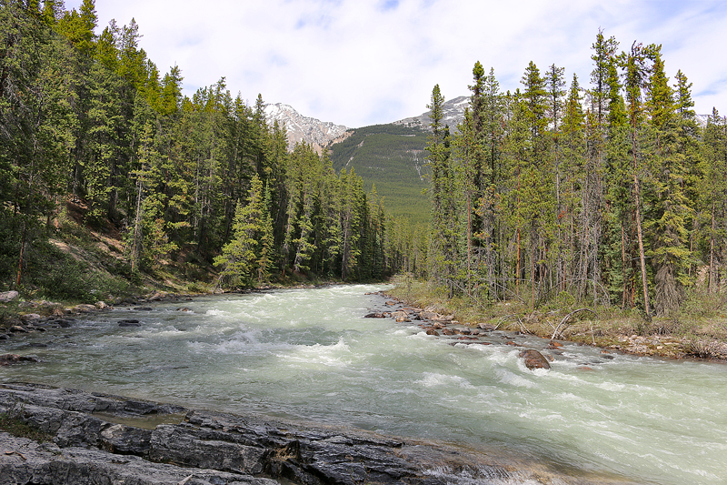 Sunwapta Falls