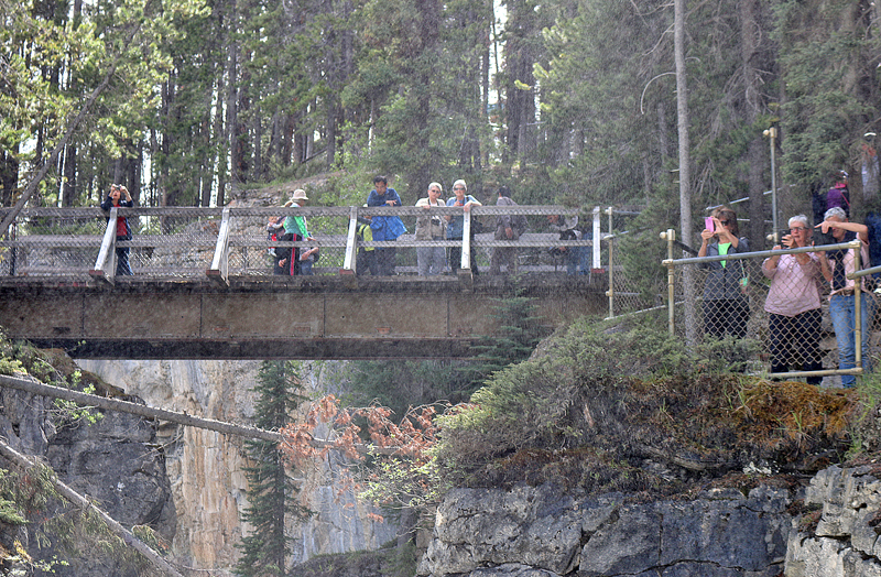 Sunwapta Falls